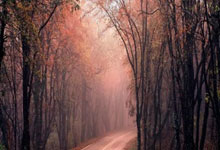 莫斯卡多：梦想是为大巴黎效力，参加欧冠并入选.