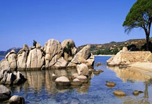 世界杯南美洲区外围赛：乌拉圭击败哥伦比亚.